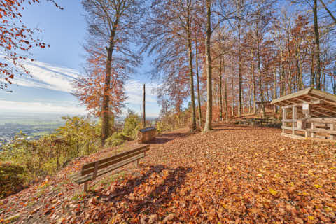 Gemeinde Julbach Landkreis Rottal-Inn Schlossberg Herbst (Dirschl Johann) Deutschland PAN